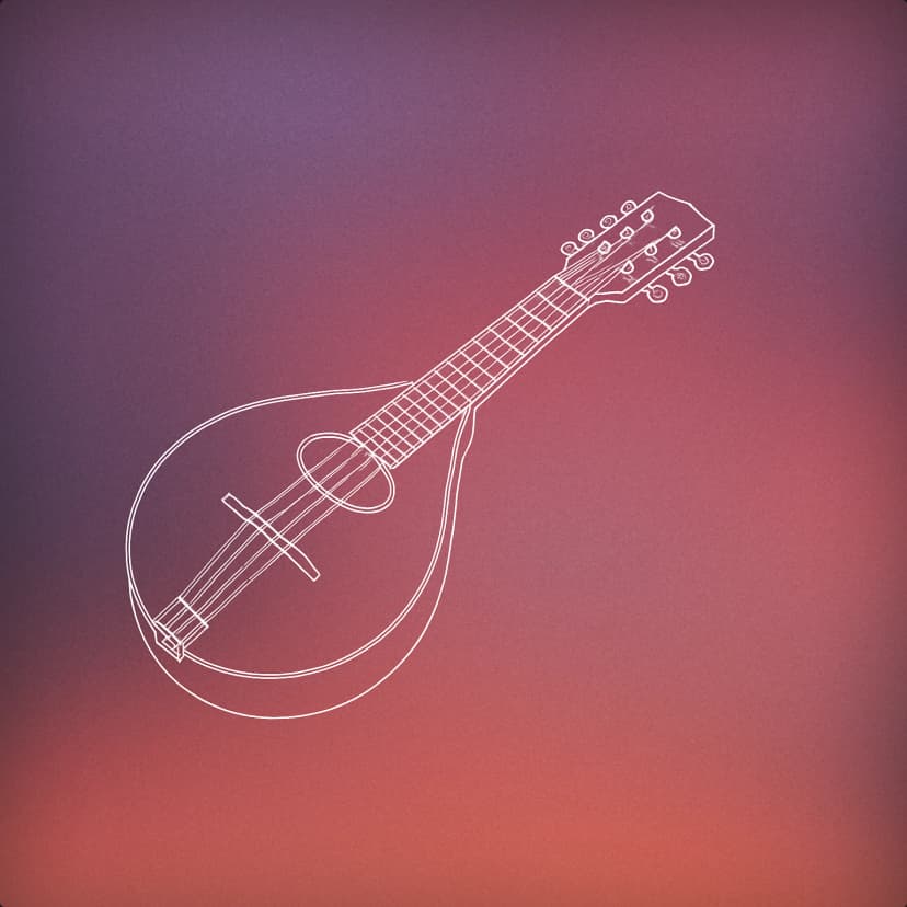 mandolin